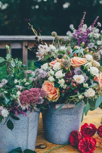 Zomerbloemen, voor extra bloemenplezier